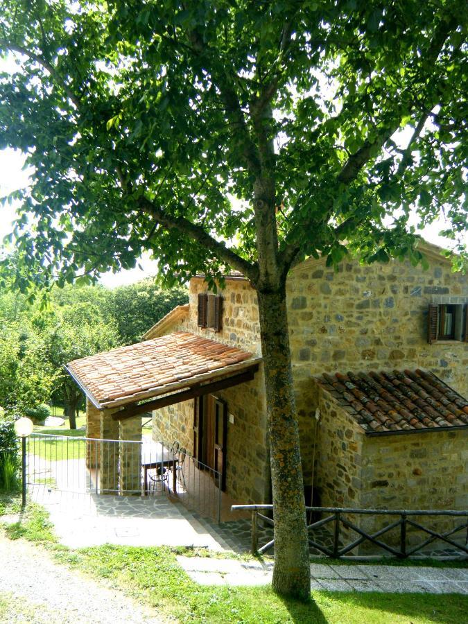 Agriturismo Ombianco Seggiano Exterior foto
