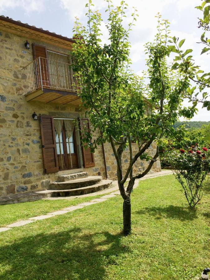 Agriturismo Ombianco Seggiano Exterior foto